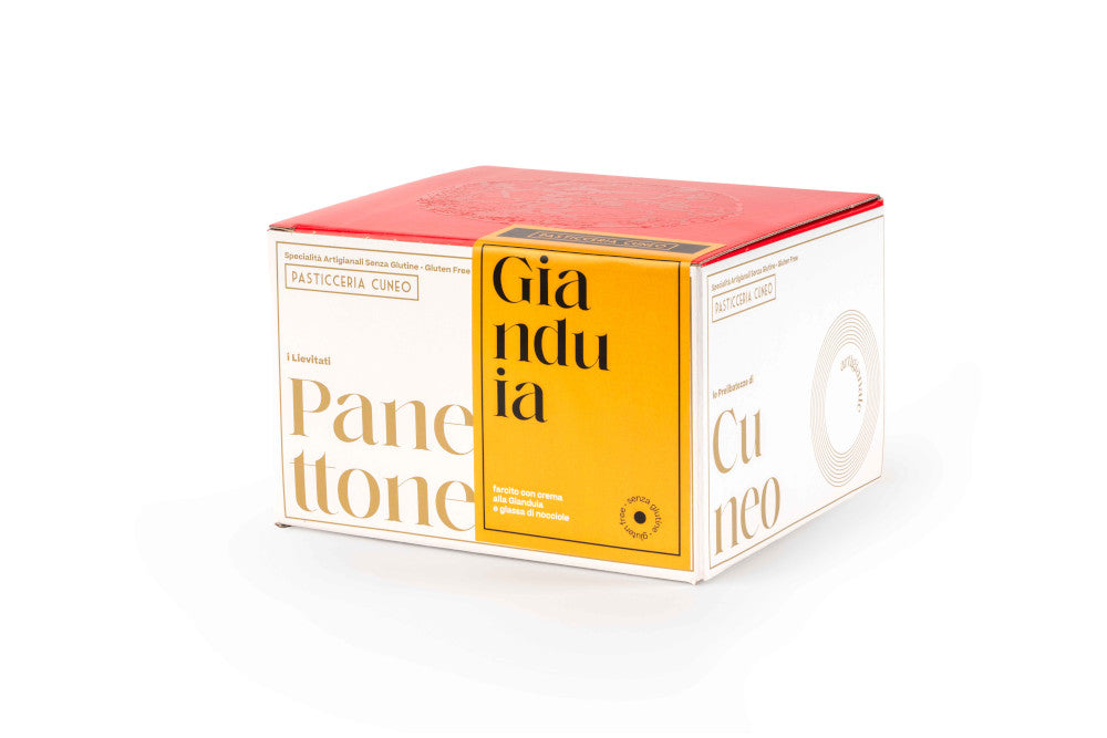 panettone senza glutine al gianduia