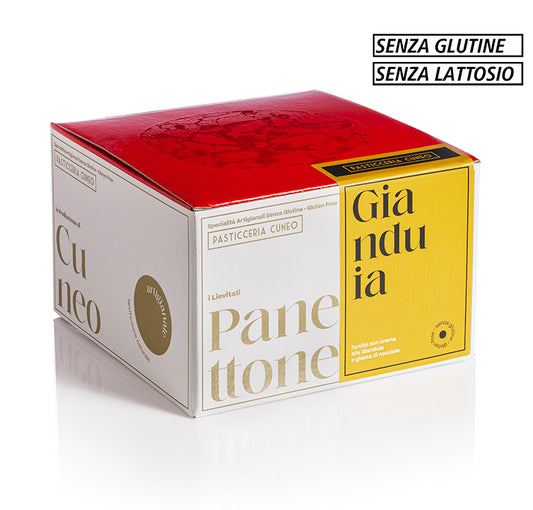 Panettone Farcito Gianduia 600g